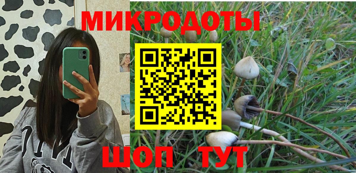 Шахты  Псилоцибиновые грибы MAGIC MUSHROOMS  Вход с VPN 